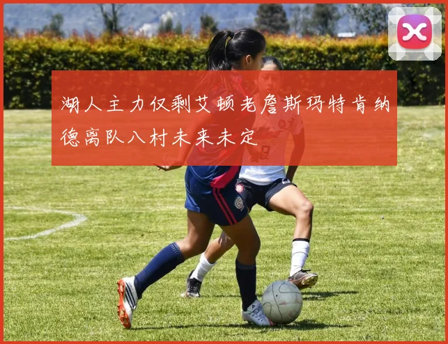 湖人主力仅剩艾顿老詹斯玛特肯纳德离队八村未来未定